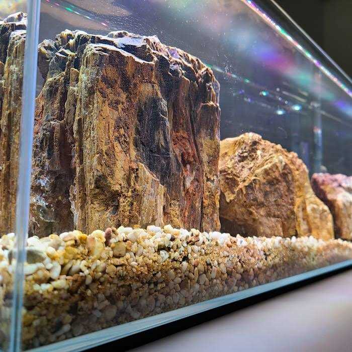 Crystal Bookshelf Aquarium T4141
