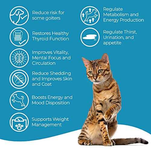 Cat Thyroid Supplement for Weight Gain and Metabolic Support Y7948