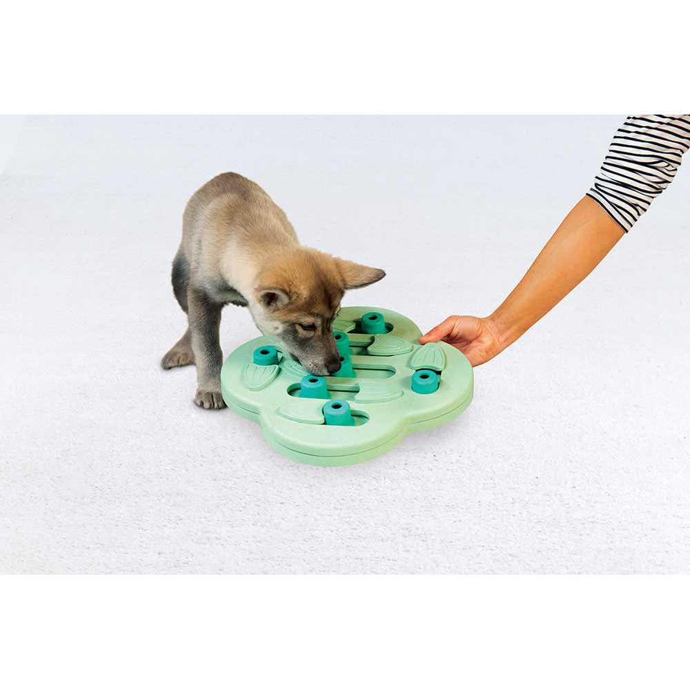 Interactive Treat Puzzle Dog Toy F747