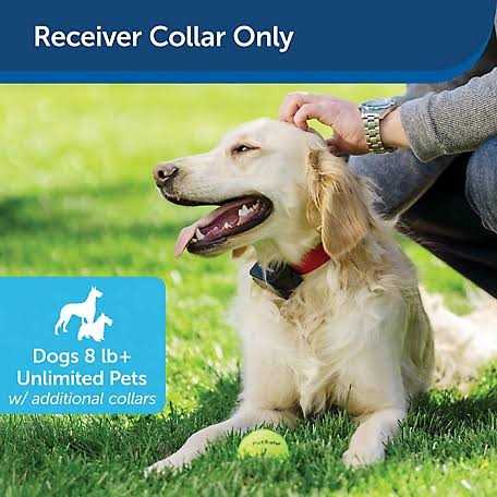 Stubborn Dog Receiver Collar Z504020