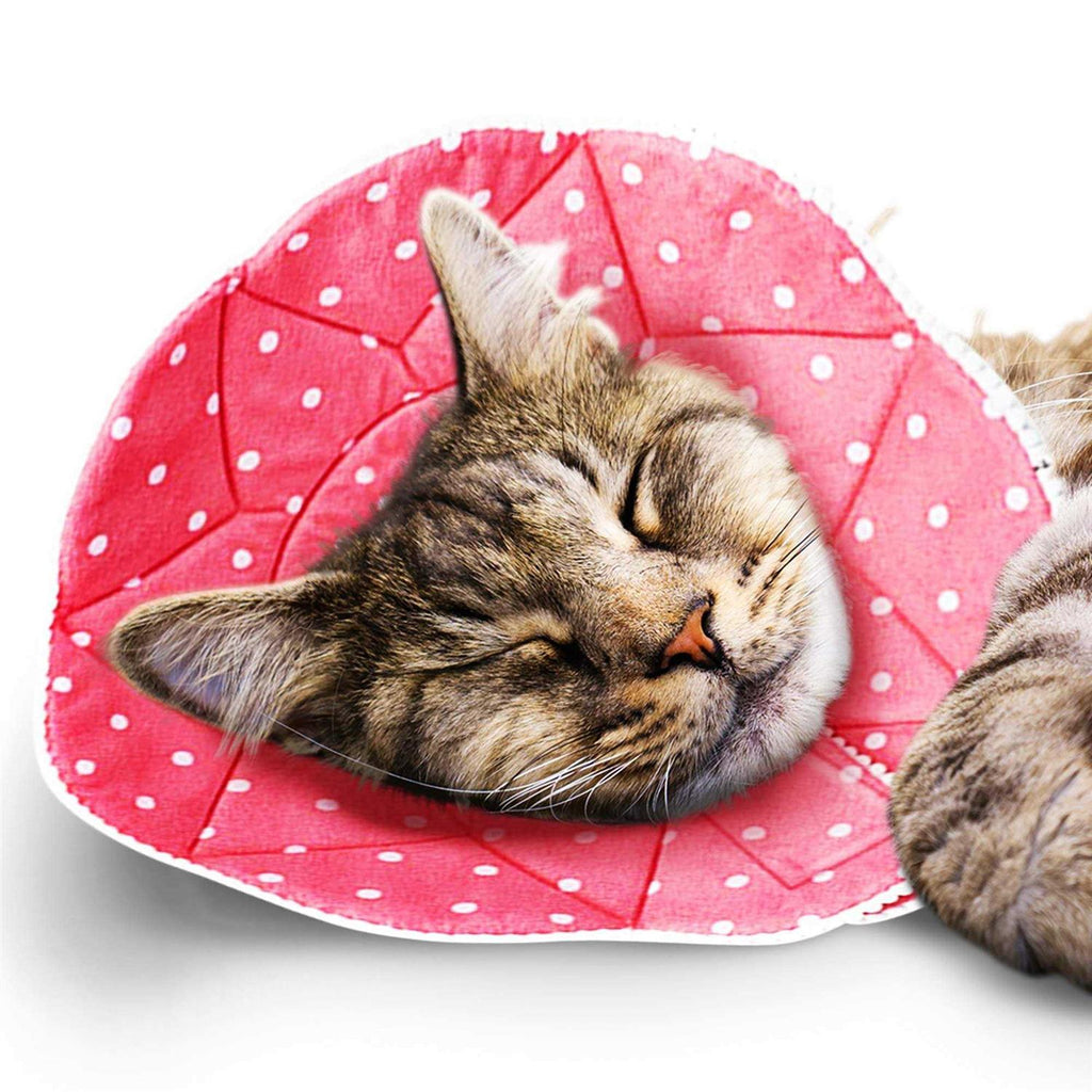 Soft e Collar for Small Dogs & Cats After Surgery Recovery M3999
