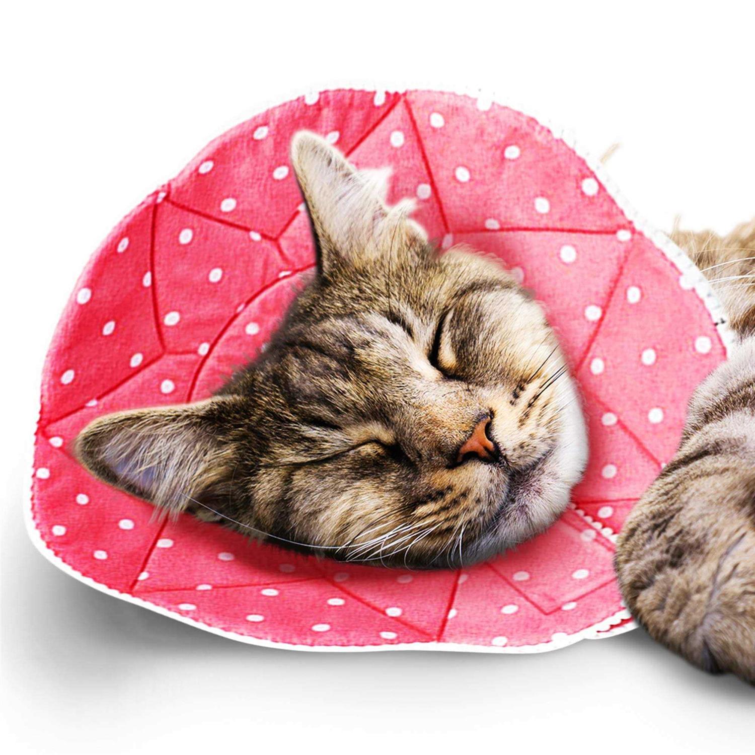 Soft e Collar for Small Dogs & Cats After Surgery Recovery M3999