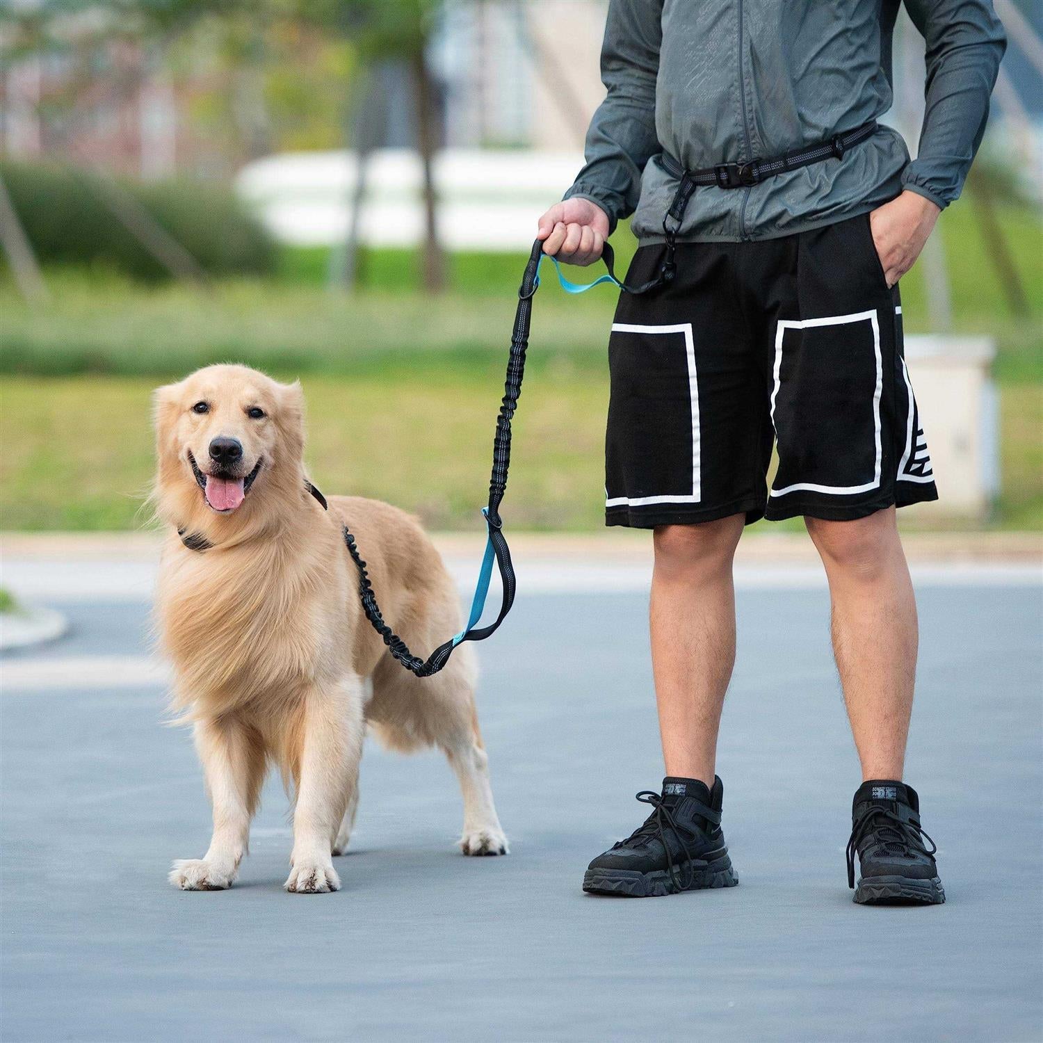 Hands Free Dog Leash with Zipper Pouch, Dual Padded Handles and Durable Bungee T4060