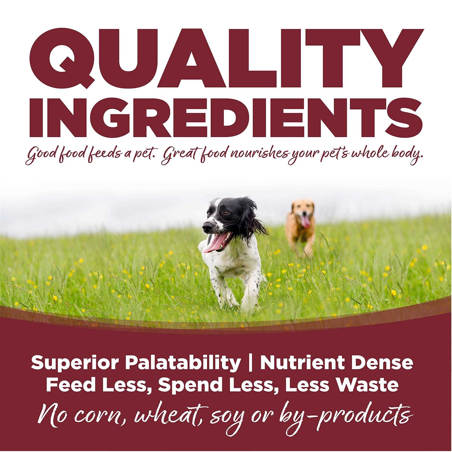 Beef Rice Dry Dog Food U9648
