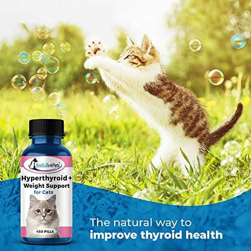 Cat Thyroid Supplement for Weight Gain and Metabolic Support Y7948