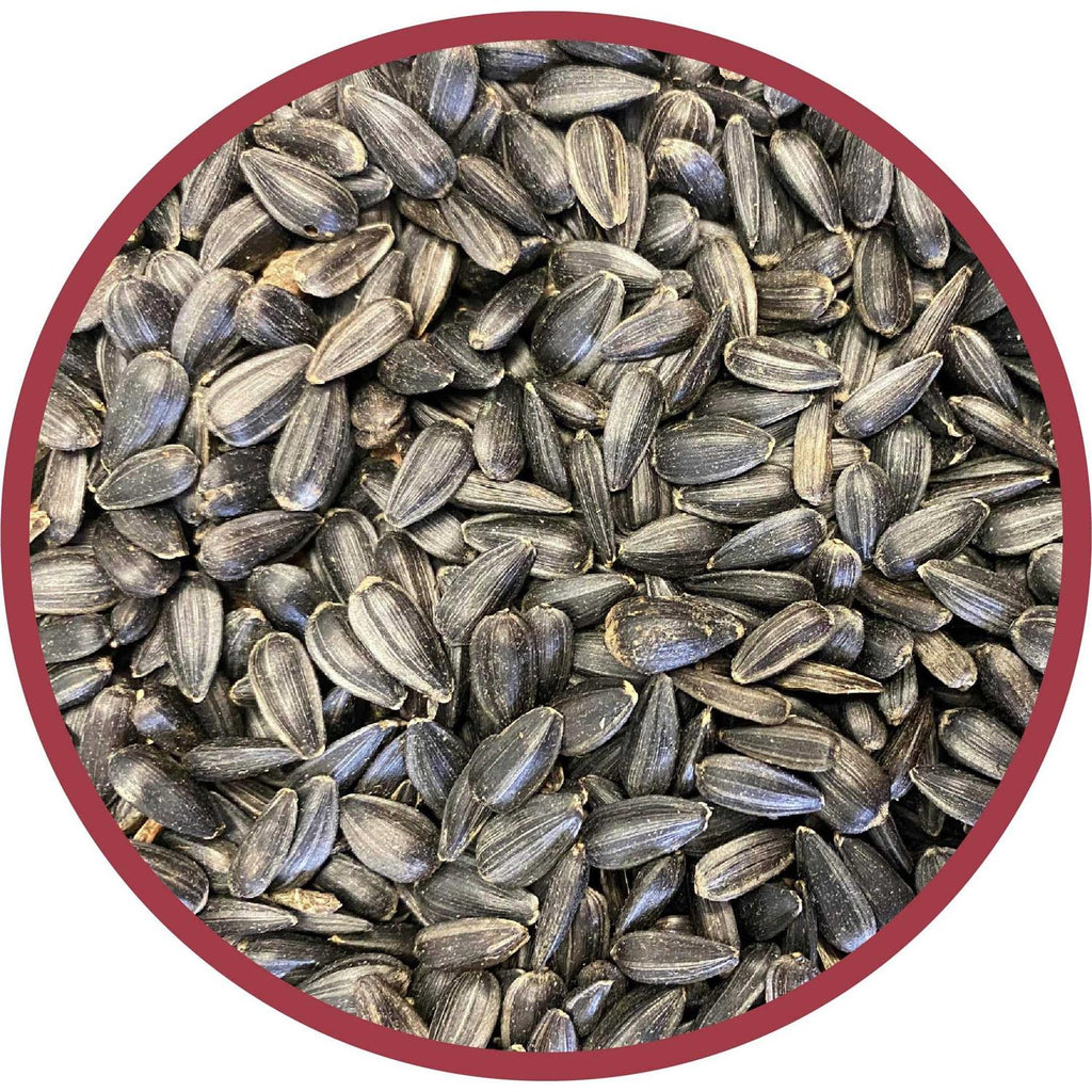 Black Oil Sunflower Seed Wild Bird Feed R56822