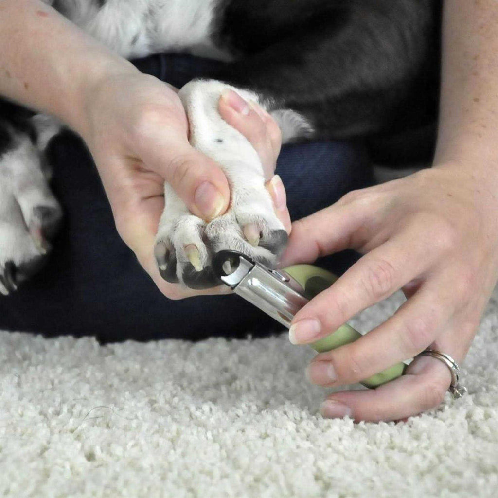 Guillotine Nail Trimmer for Dogs C3033