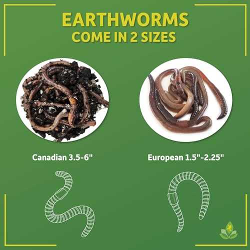 Canadian Nightcrawlers Live Reptile Food, 12 Count H319