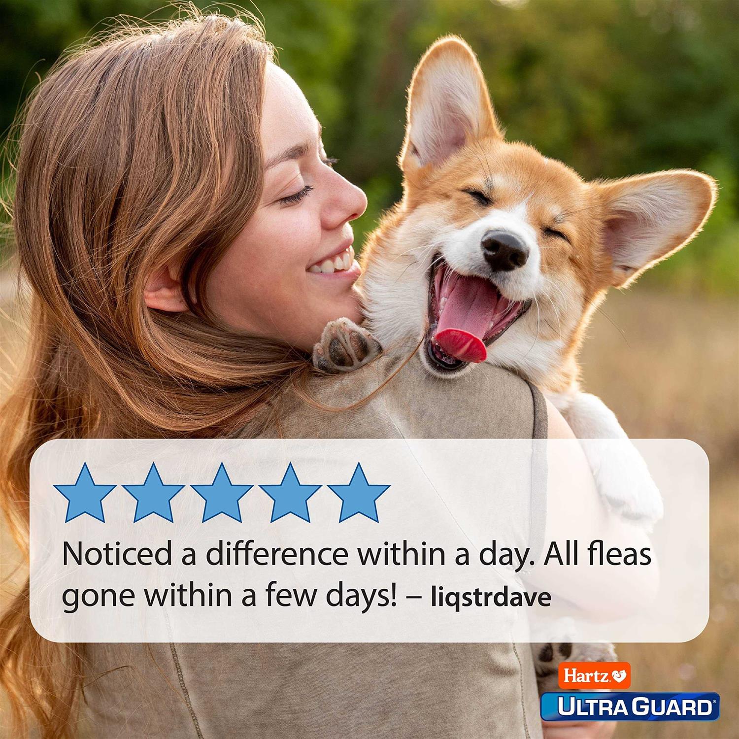 Flea & Tick Spray for Dogs S48300
