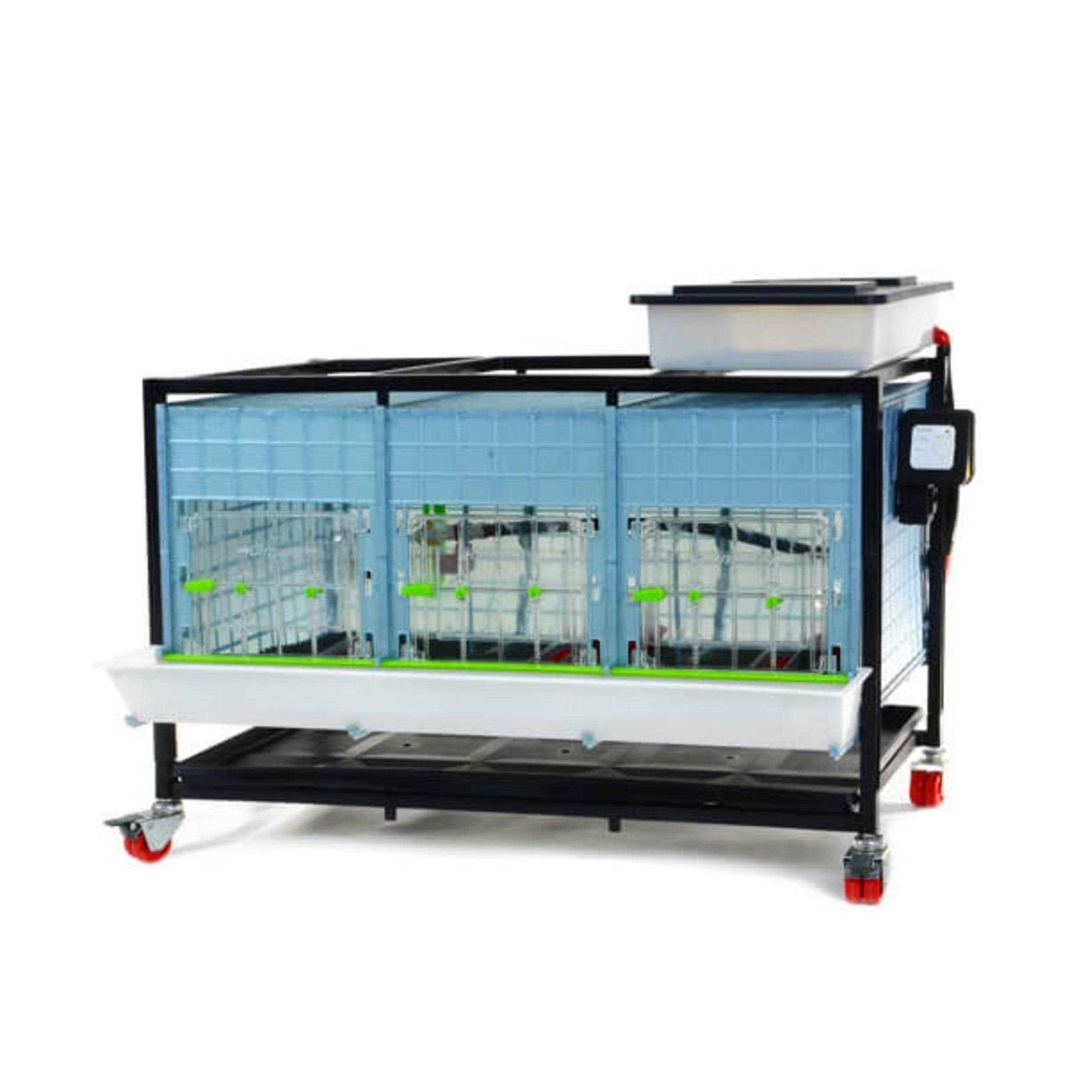 Hatching Time Chick Brooder 1 Layer H - Pet Supplies online store