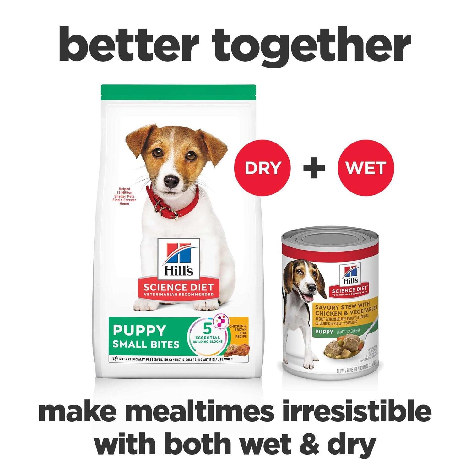 Puppy Small Bites Chicken Recipe Dry Dog Food I13255