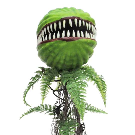 Venus Flytrap Plant T832687