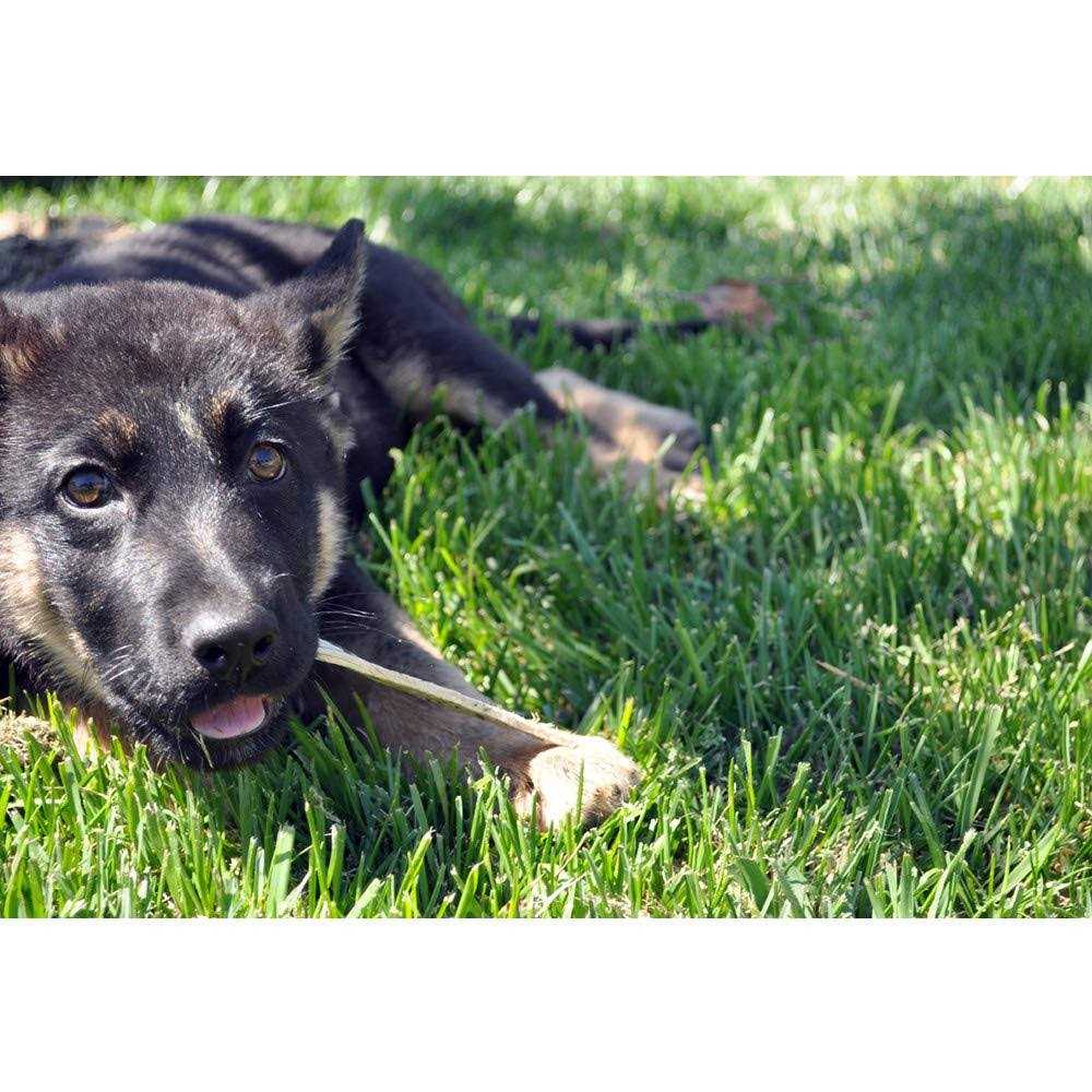 Dental Dog Treats for Oral Hygiene L92269