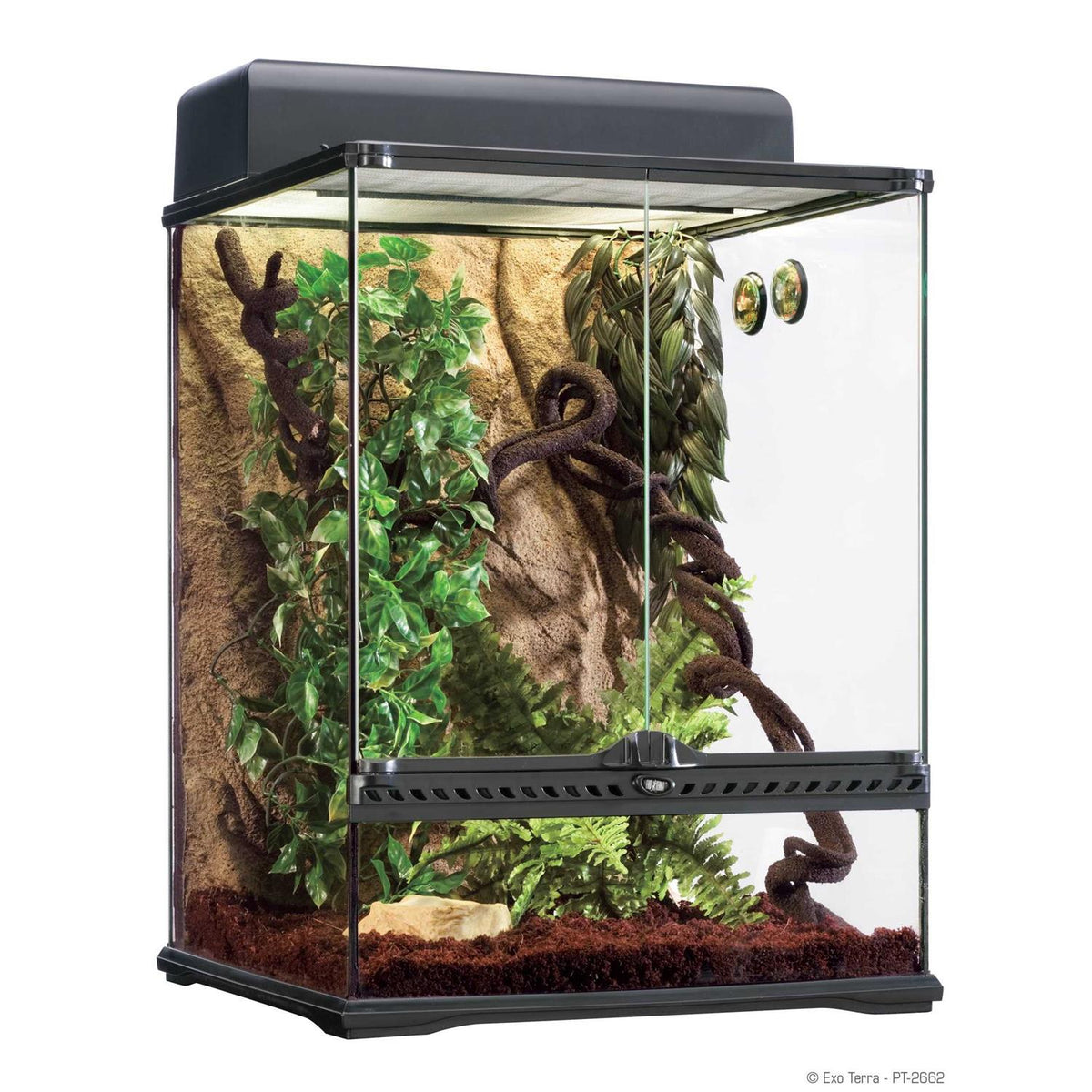 Exo Terra Rainforest Habitat Kit - Pet Supplies online store