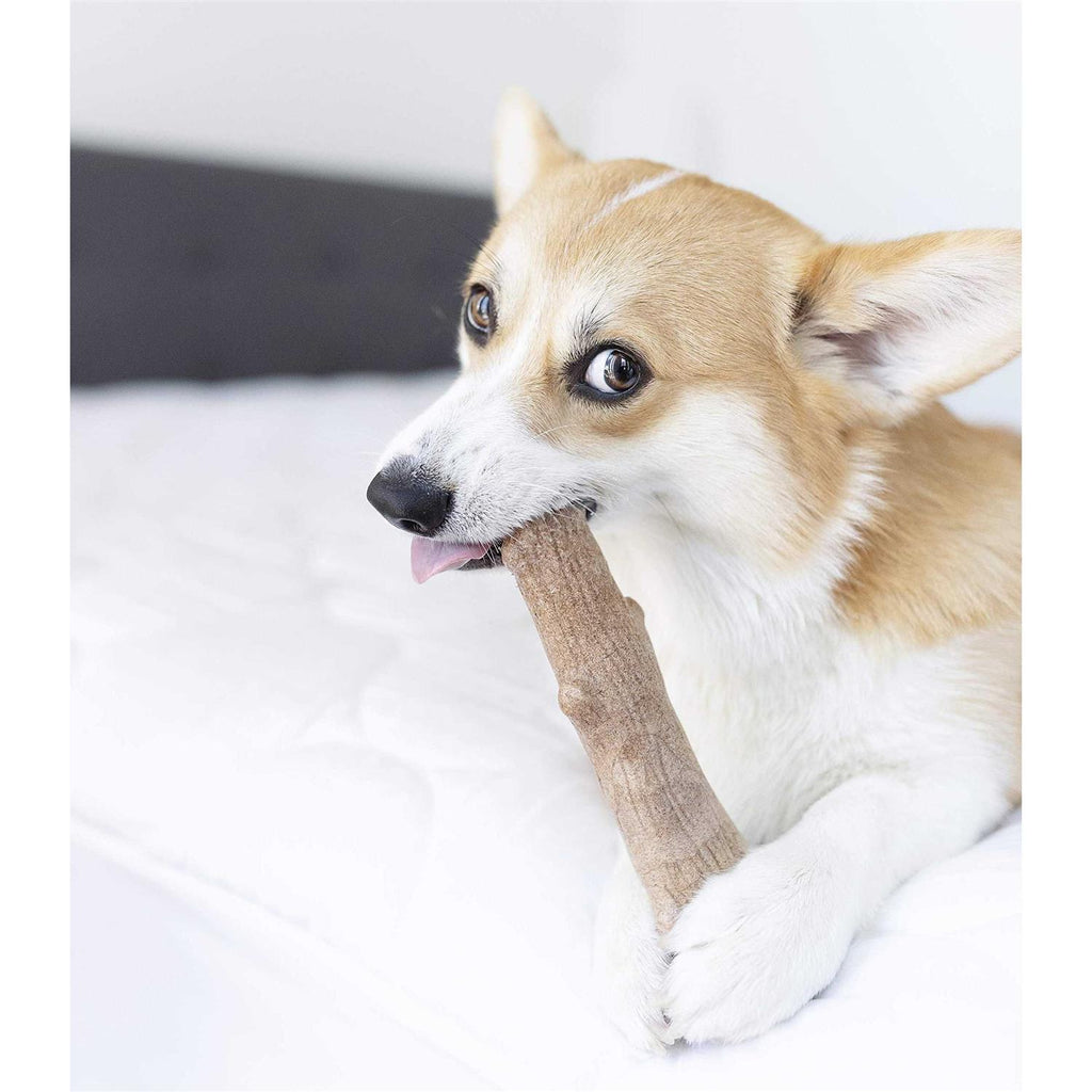 Dogwood Stick Dog Chew Toy N3388