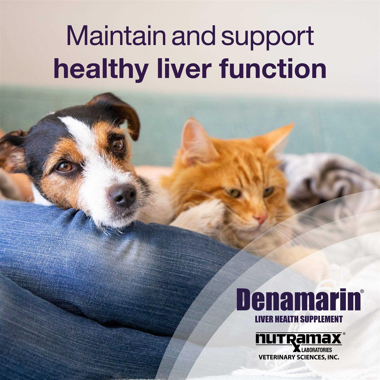Denamarin for Cats and Small Dogs W351192