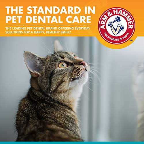 Fresh Breath Dental Kit for Cats J1151