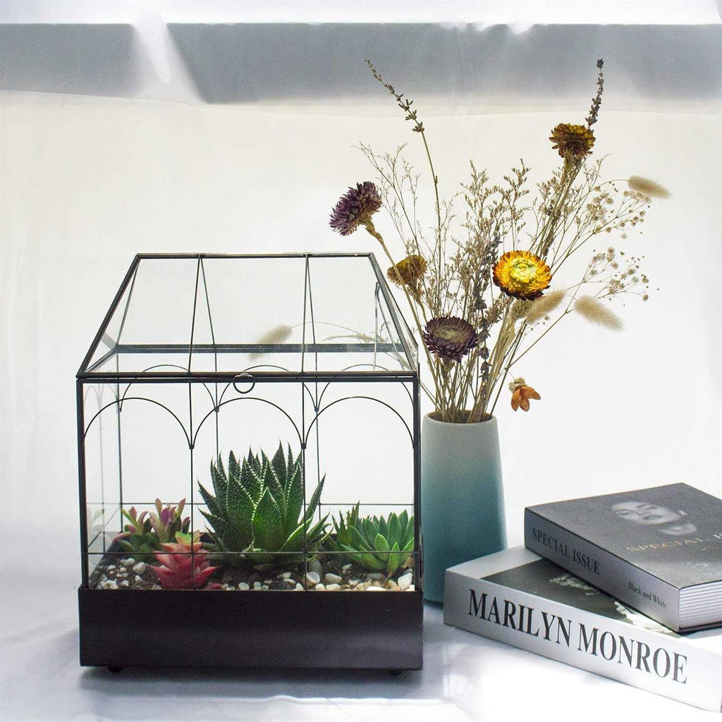 Large Glass Plant Terrarium with Tray for Succulents Q70954