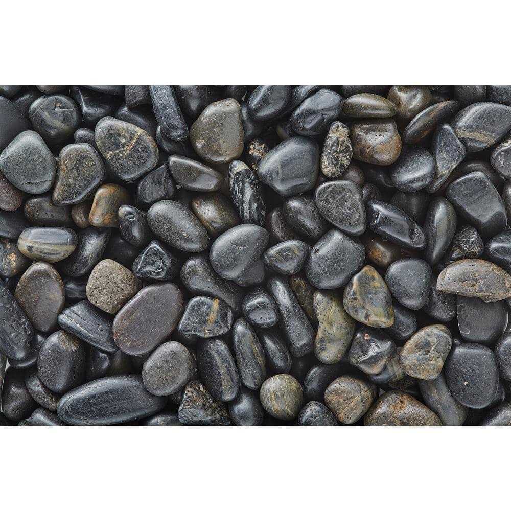 Polished Black Gravel for Pets E716