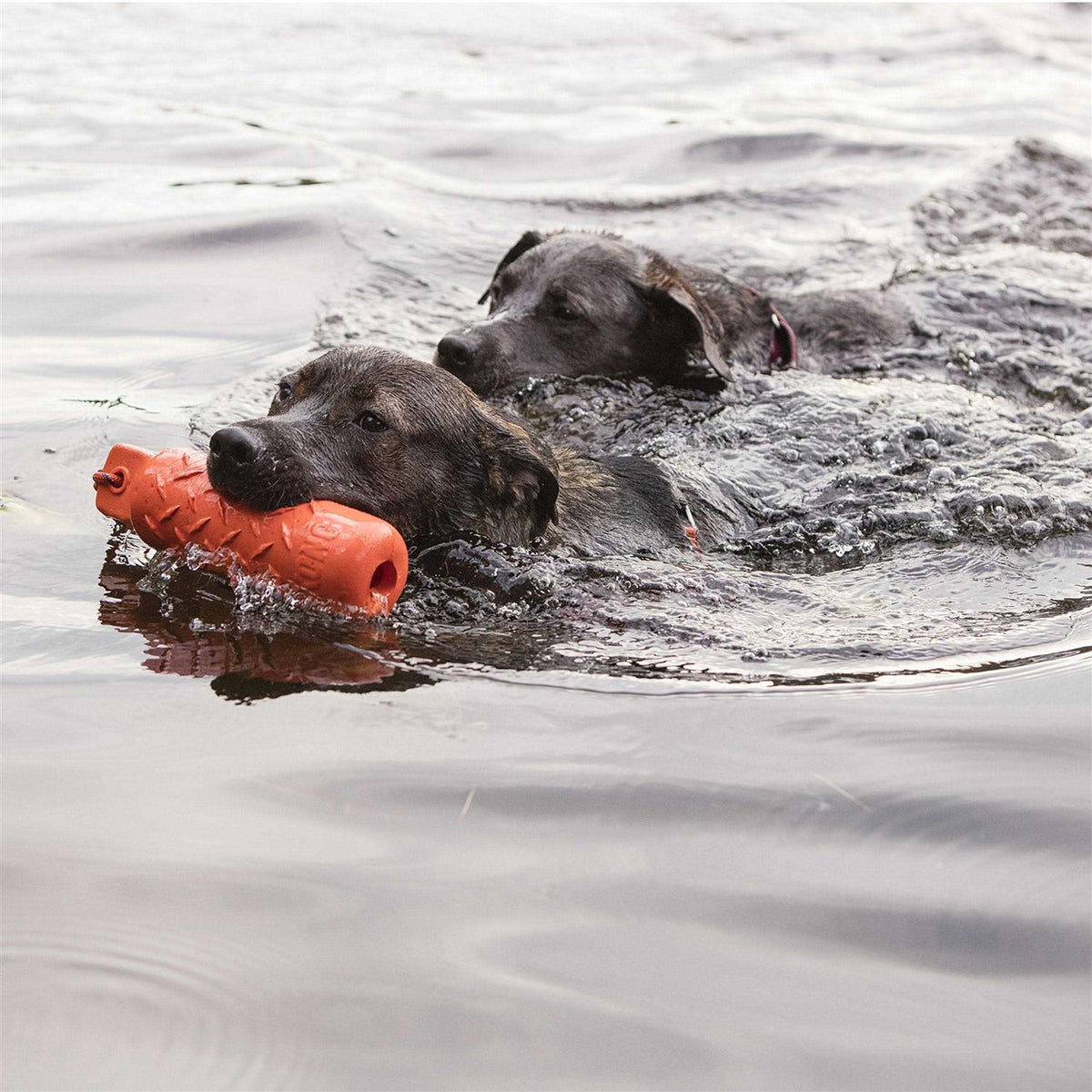 Training Dummy for Pet Training Z8188