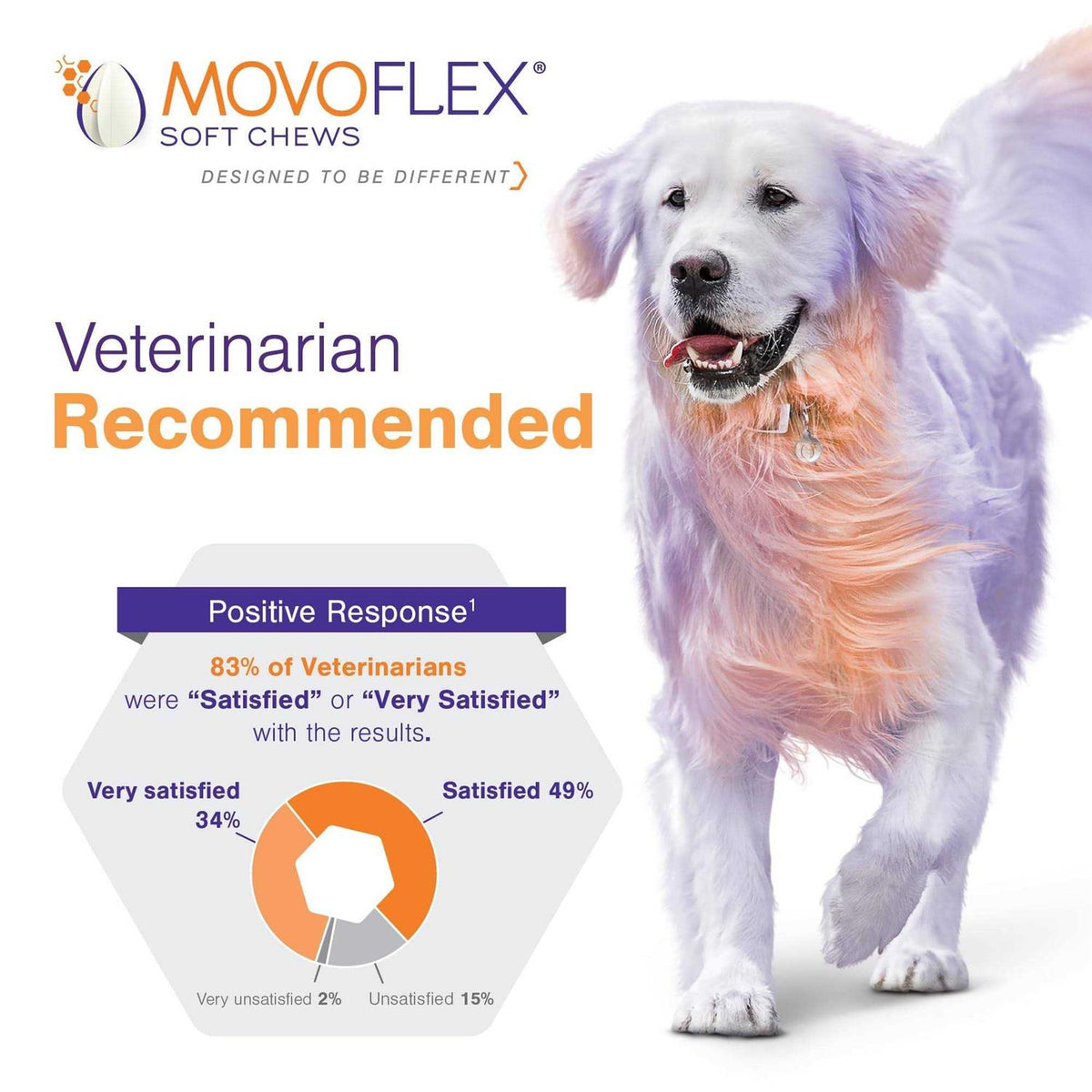 Joint Support Soft Chews for Dogs R570838
