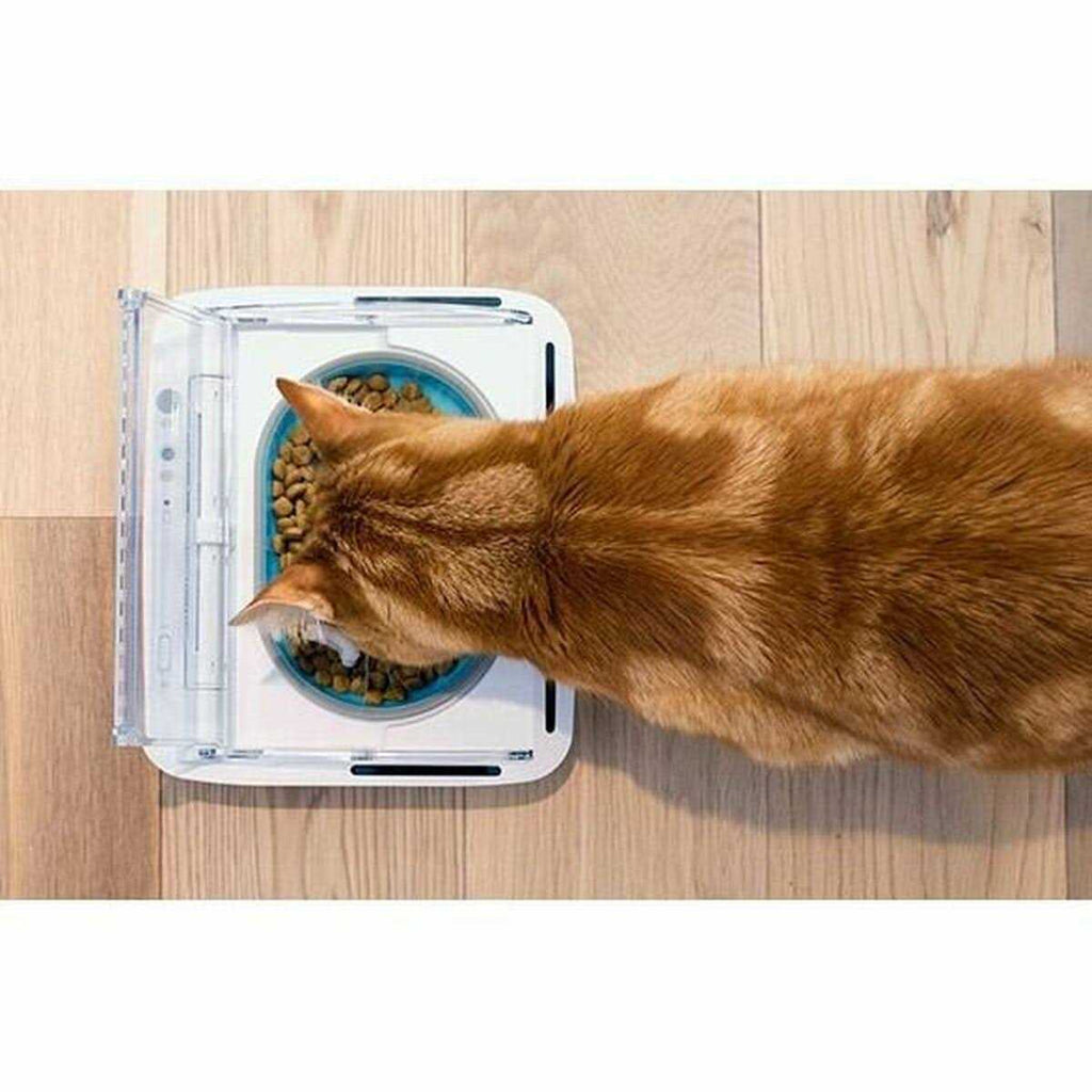 Sealed Pet Bowl for Cats and Dogs S699