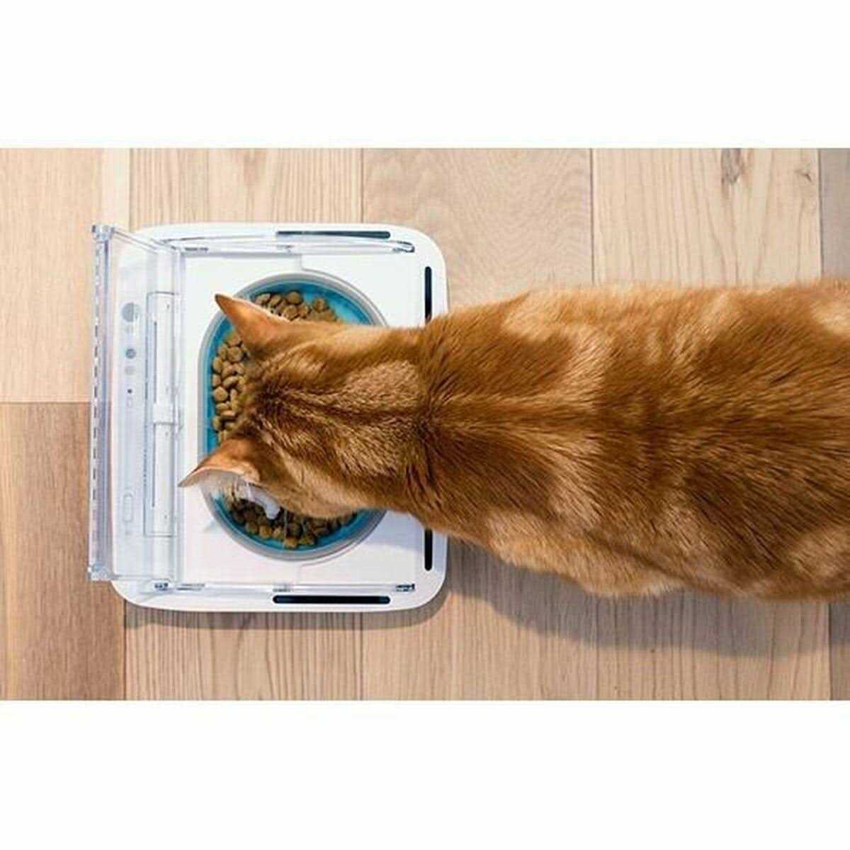 Sealed Pet Bowl for Cats and Dogs S699