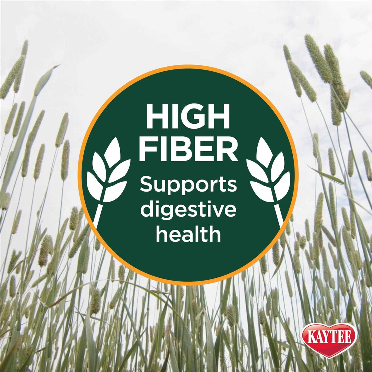 Natural Timothy Hay for Pets F230