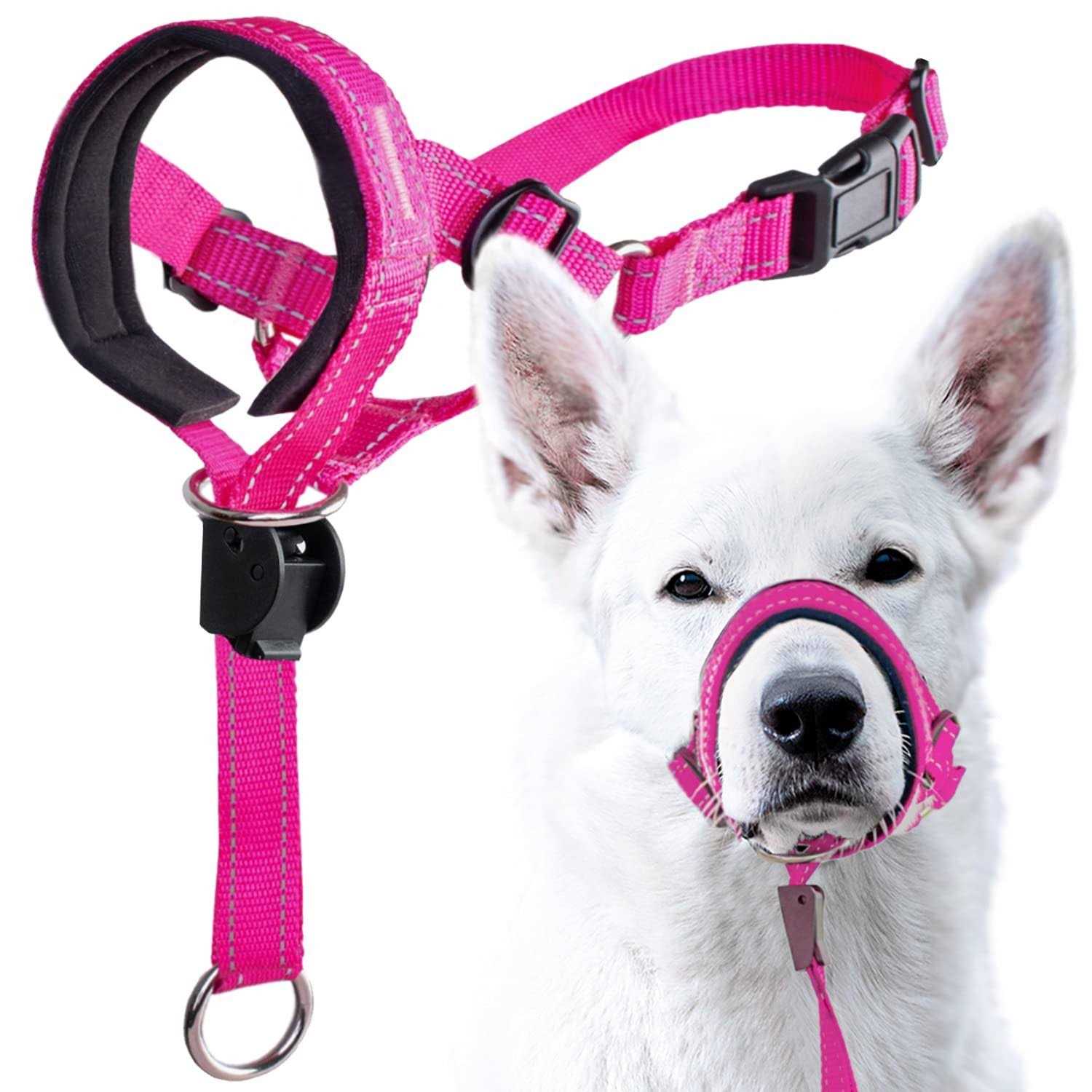 GoodBoy Dog Head Halter with Safety Strap Stops Heavy Pulling On The Leash - Pet Supplies online store