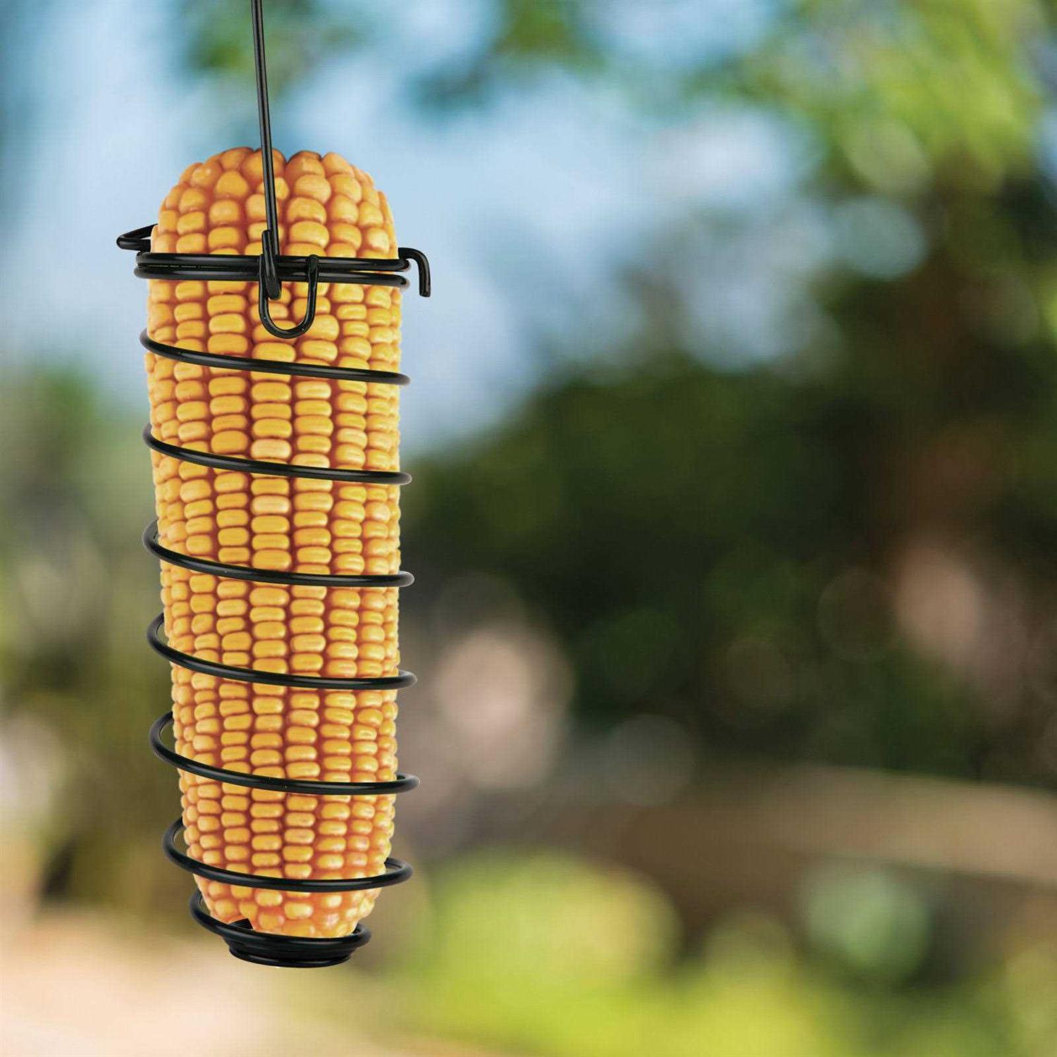 Whole Ear Corn Squirrel and Critter Feed G63449
