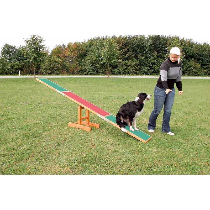 Agility Dog Training Seesaw H228797