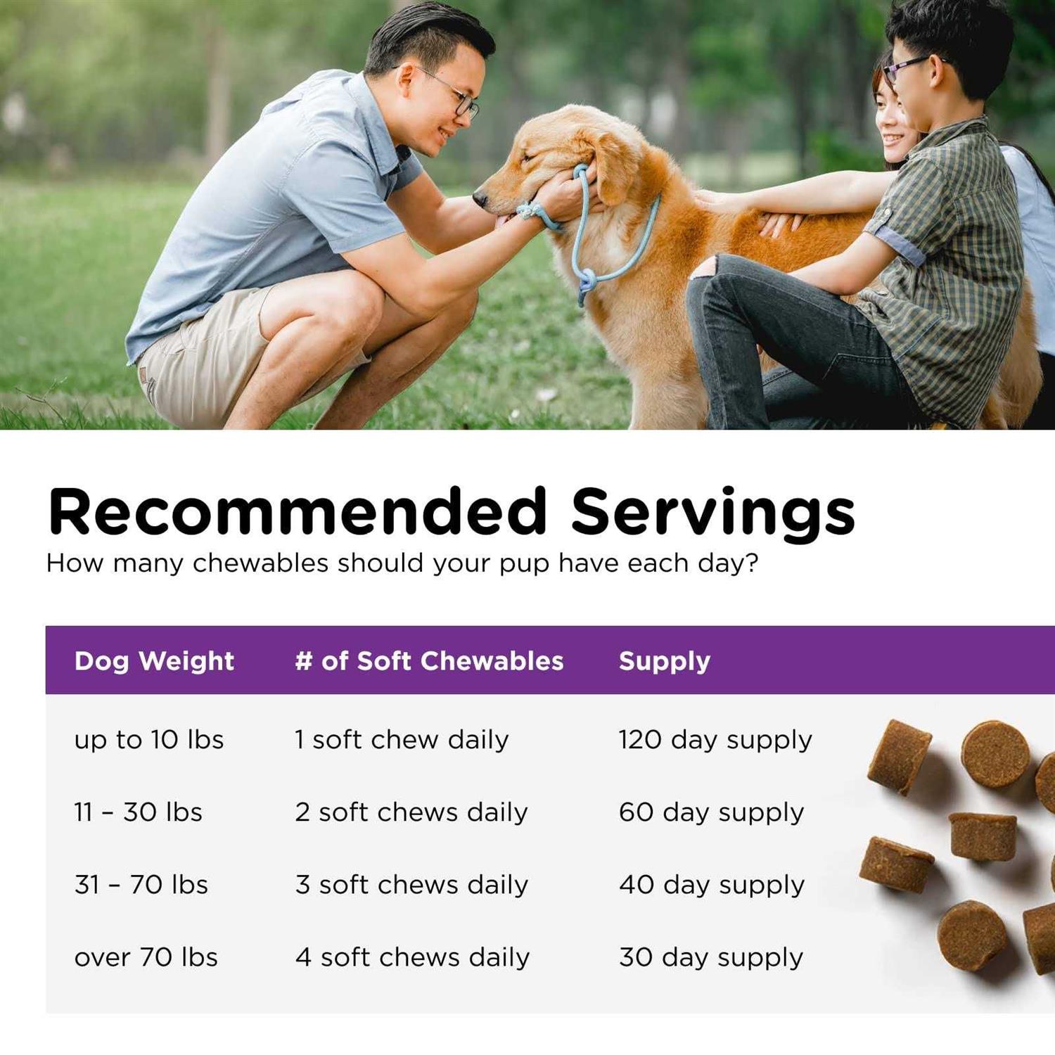 Pre and Probiotic Soft Chews for Dogs Z618