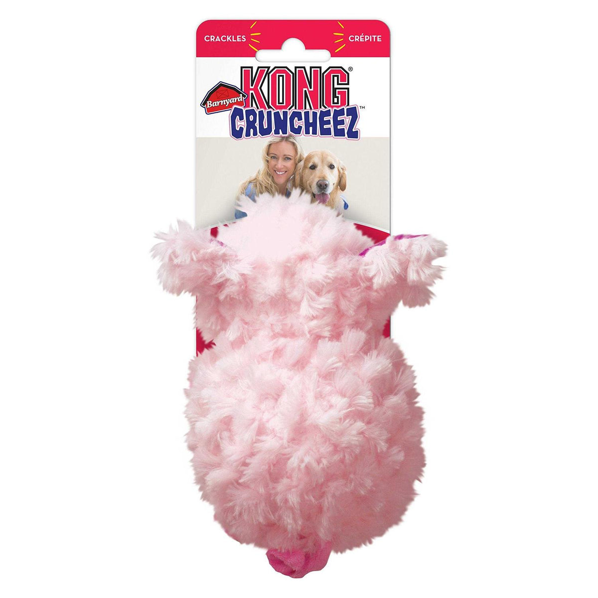 Pig Dog Toy H8062