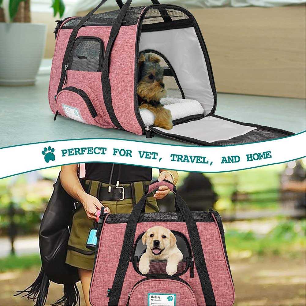Soft Sided Pet Carrier for Airline Travel C1225