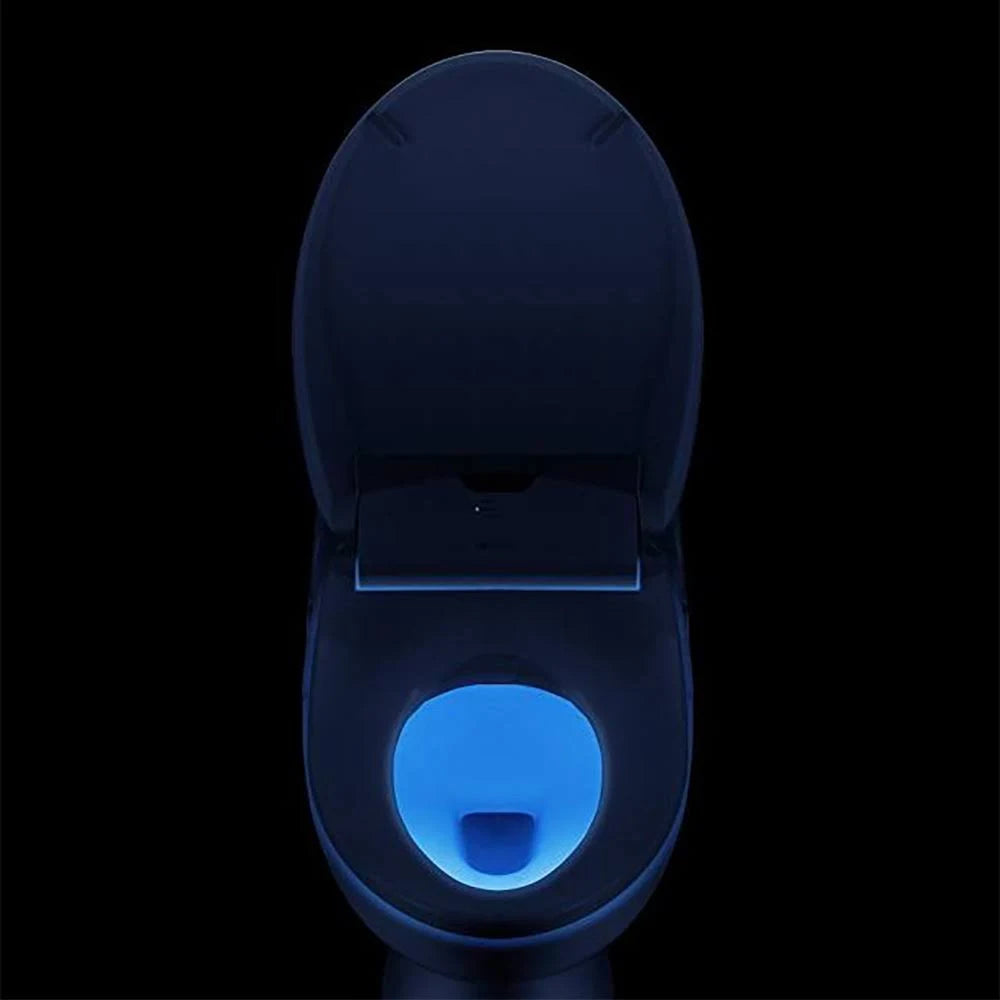 Elongated Bidet Toilet Seat Q45941