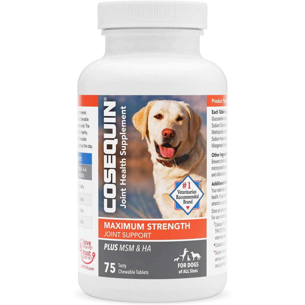 Cosequin Maximum Strength Plus MSM &amp; HA for Dogs - Pet Supplies online store