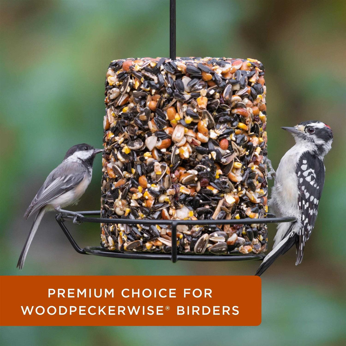 Woodpecker Snack Log Wild Bird Feed X273