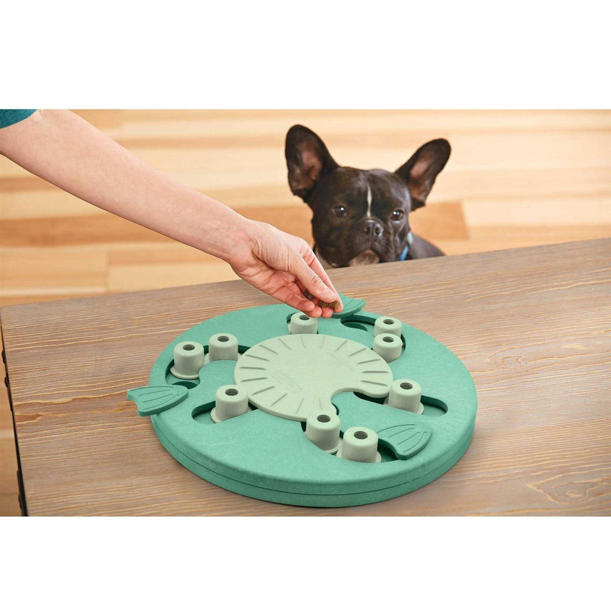 Interactive Puzzle Dog Toy Z856234