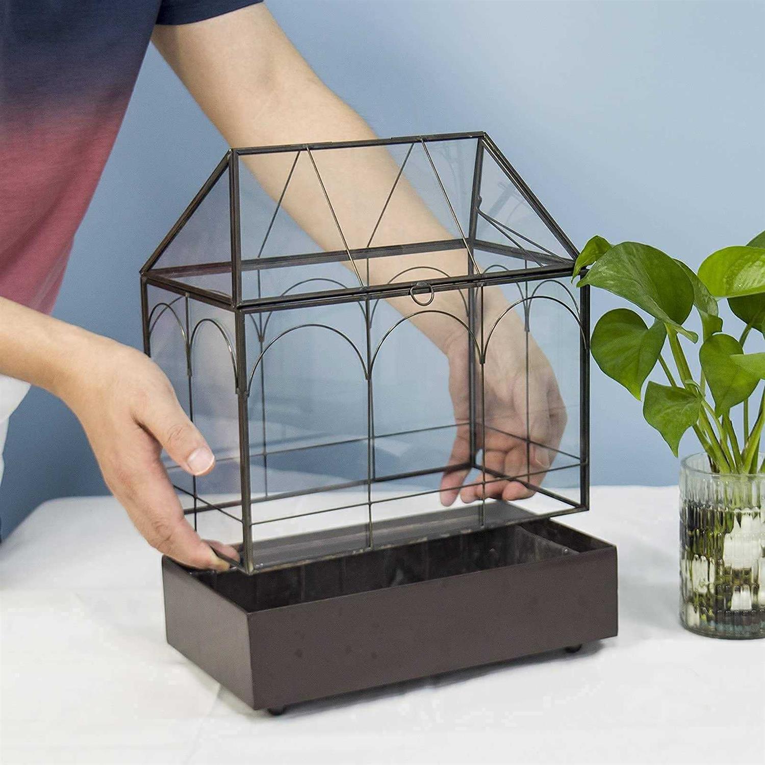 Large Glass Plant Terrarium with Tray for Succulents Q70954