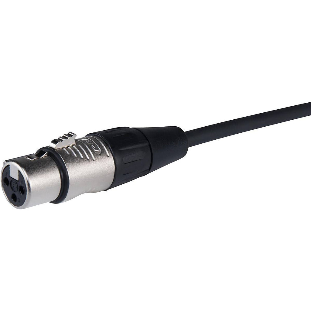 XLR Microphone Cable 100 ft Black J86285