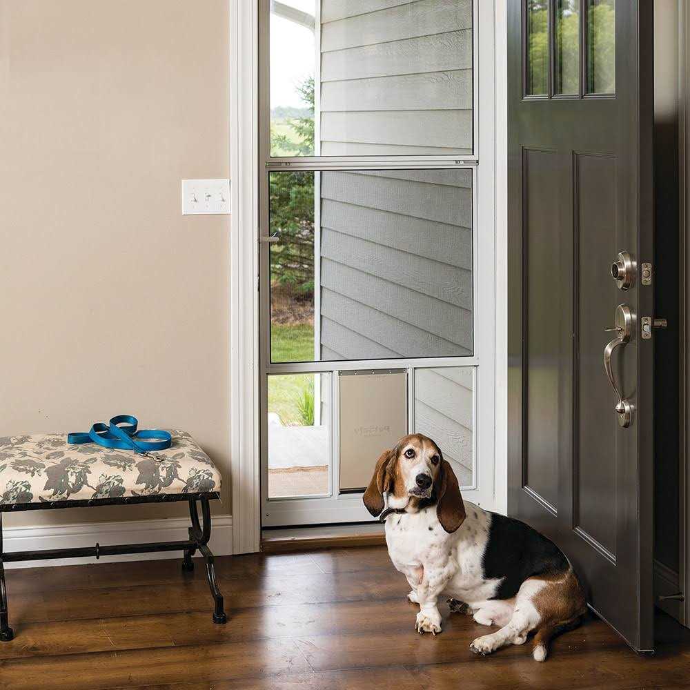 Pet Storm Door B722889