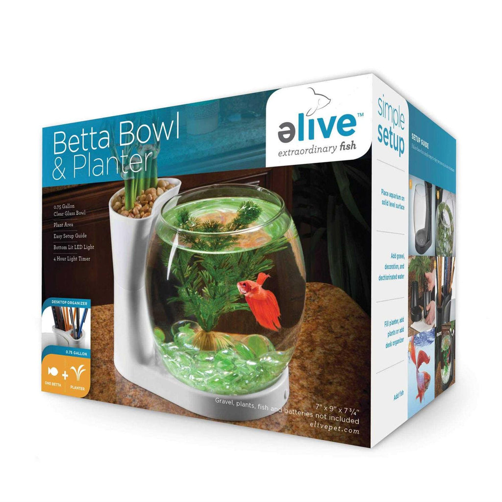 Betta Fish Bowl with Planter M99448