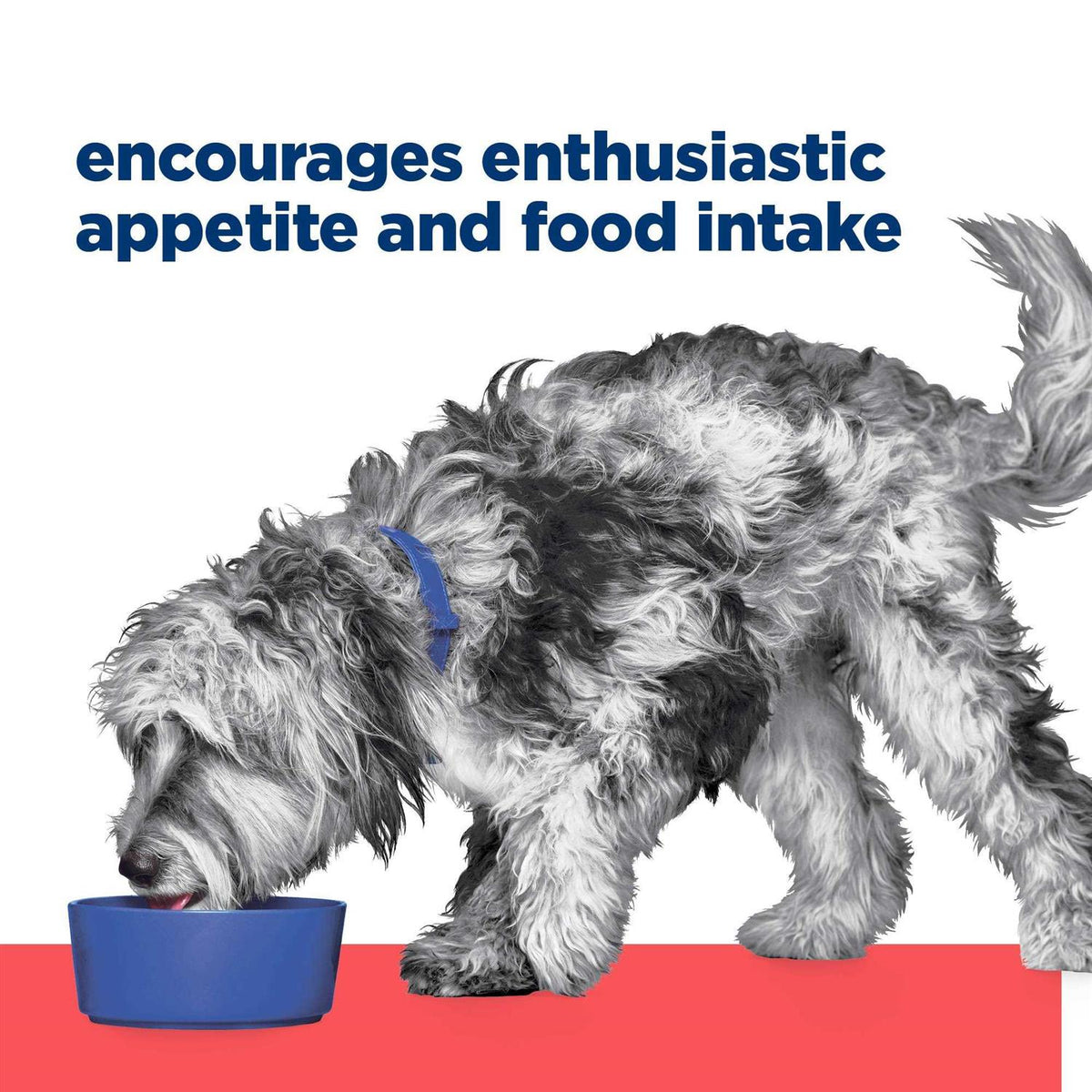 ONC Care Dry Dog Food X277