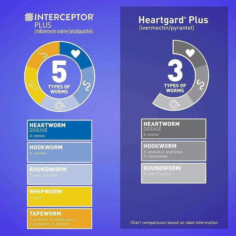 Interceptor Plus for Dogs A280707