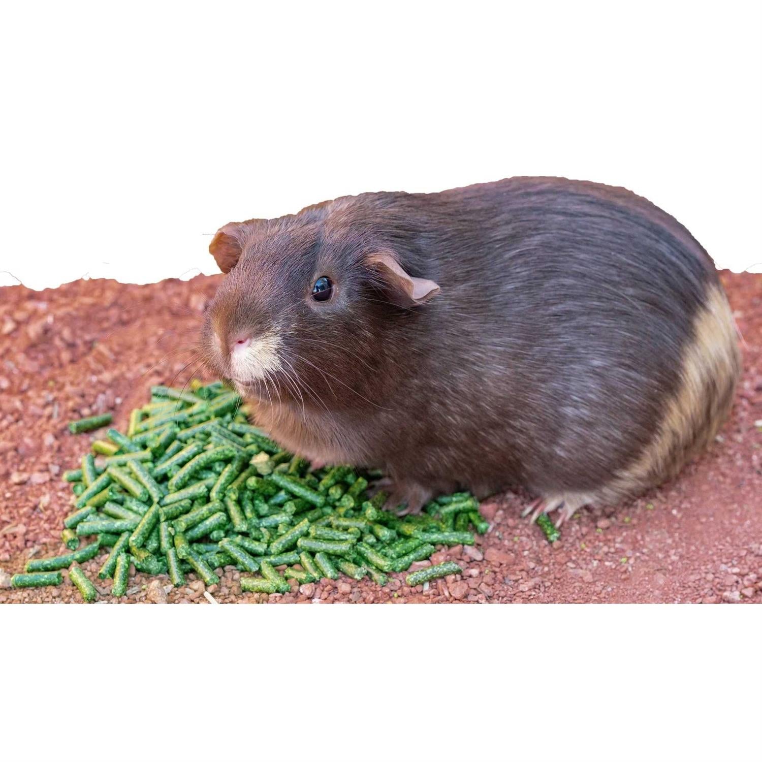 Alfalfa Pellets for Pets P677735