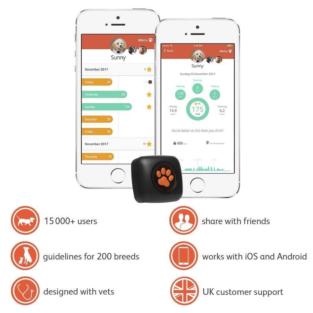 Dog Activity and Fitness Monitor No Recharging or Subscription Required G404635