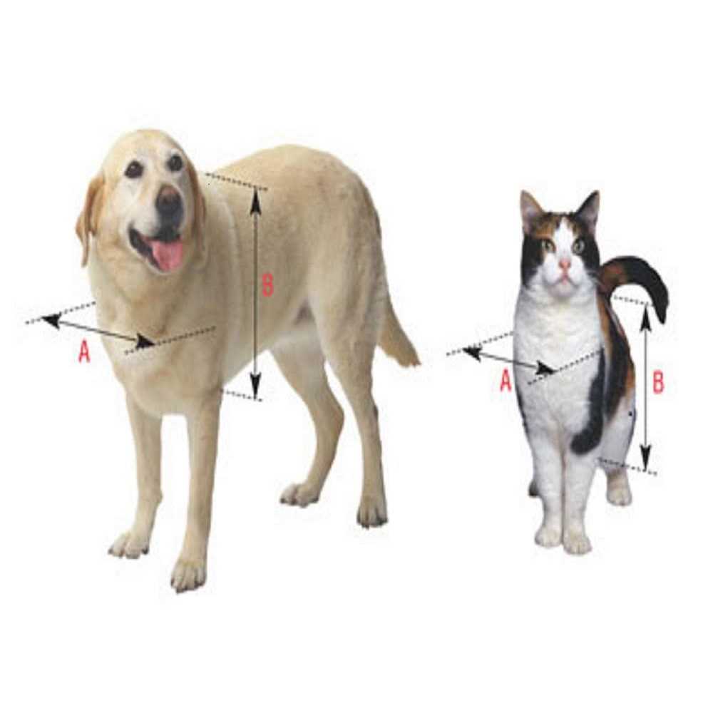Replacement Flap for Pet Door Y9586