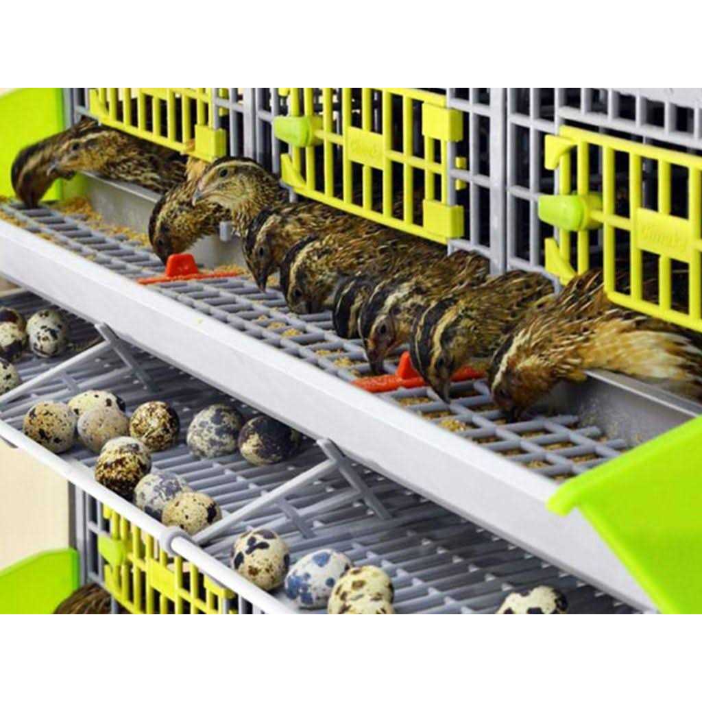 Quail Breeding Cage Indoor 3 Layer Stackable Coop P44573