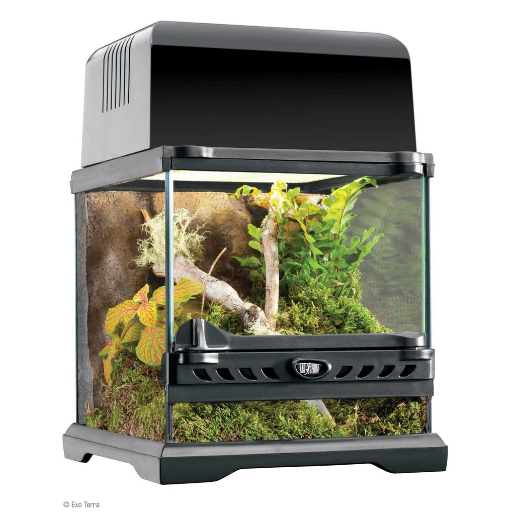 Glass Terrarium Nano D7572