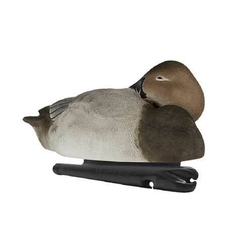 Foam-Filled Canvasback Decoys J432896